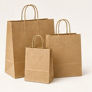 Paper Carry Bags