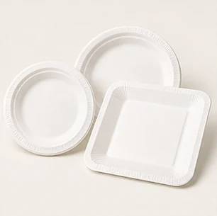 Paper Plates