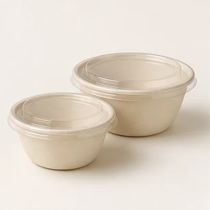 Sugarcane Bowls & Lids