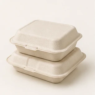 Sugarcane Clamshells