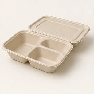 Sugarcane Containers & Lids